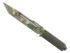 Skin's image
