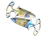 Skin's image