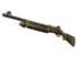 Skin's image
