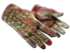 Skin's image