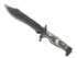 Skin's image