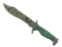 Skin's image