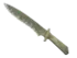 Skin's image