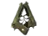 Skin's image