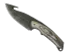 Skin's image