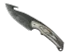 Skin's image