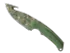 Skin's image