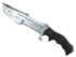 Skin's image