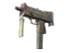 Skin's image