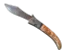 Skin's image