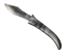 Skin's image