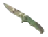 Skin's image