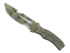 Skin's image