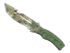 Skin's image