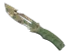 Skin's image
