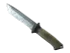 Skin's image