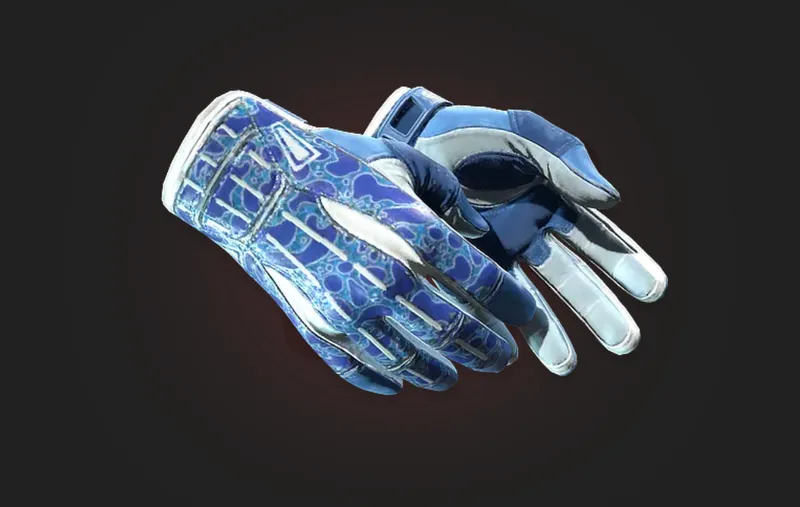 Sport Gloves Amphibious