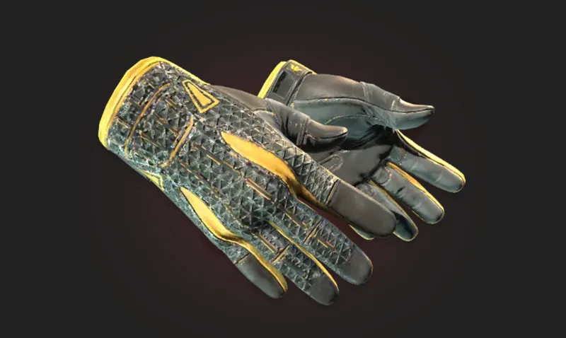 Sport Gloves Omega