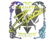 Sticker | ZywOo (Holo, Champion) | Austin 2025