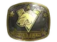 Sticker | Virtus.Pro (Gold) | Austin 2025