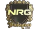 Sticker | NRG (Gold) | Budapest 2025