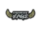 Patch | Metal Legendary Eagle