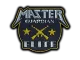 Patch | Metal Master Guardian Elite