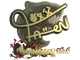 Sticker | FalleN (Gold) | Shanghai 2024