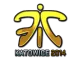 Sticker | Fnatic (Foil) | Katowice 2014