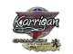 Sticker | karrigan (Glitter