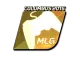 Sticker | MLG (Gold) | MLG Columbus 2016