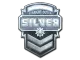 Sticker | Silver (Foil)