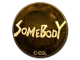 Sticker | somebody (Gold) | Katowice 2019