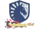 Sticker | Team Liquid (Glitter) | Shanghai 2024