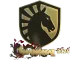 Sticker | Team Liquid (Gold) | Shanghai 2024