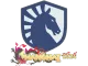 Sticker | Team Liquid | Shanghai 2024