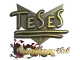 Sticker | TeSeS (Gold) | Shanghai 2024