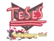 Sticker | TeSeS | Shanghai 2024