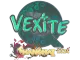 Sticker | vexite (Holo) | Shanghai 2024