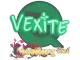 Sticker | vexite | Shanghai 2024