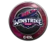 Sticker | Winstrike Team | Katowice 2019
