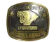Sticker | Lynn Vision (Gold) | Austin 2025