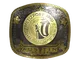 Sticker | Metizport (Gold) | Austin 2025