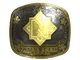 Sticker | Nemiga (Gold) | Austin 2025