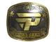 Sticker | paiN Gaming (Gold) | Austin 2025