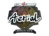 Sticker | Aerial (Foil) | Berlin 2019
