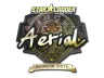 Sticker | Aerial (Gold) | Berlin 2019