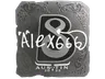 Sticker | alex666 (Foil) | Austin 2025