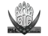 Sticker | BIG | Krakow 2017