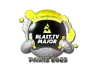 Sticker | BLAST.tv (Glitter) | Paris 2023